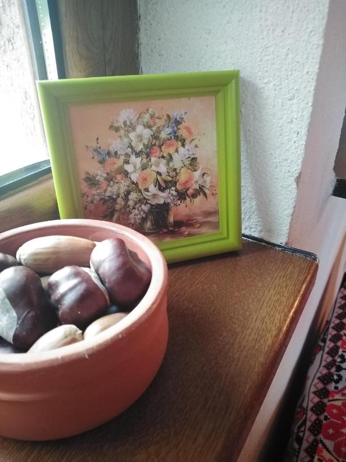 Къща За Гости Уют С. Жеравна Dış mekan fotoğraf